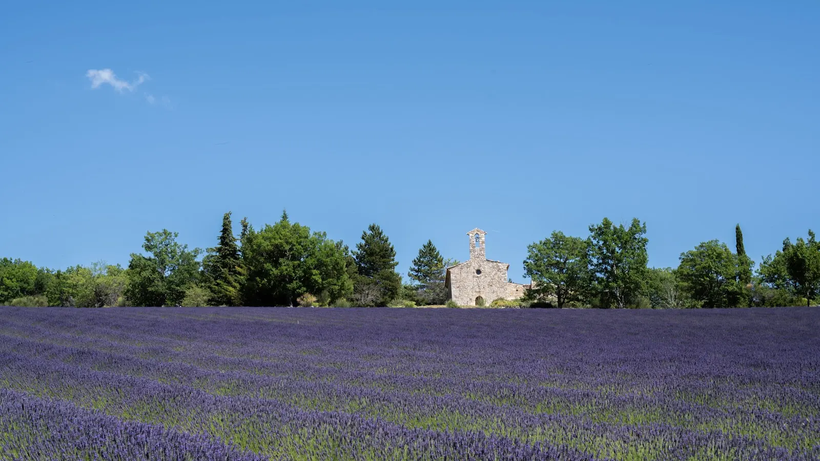 Festival d'Art Lyrique — Aix-en-Provence
